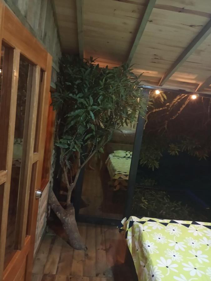 La Casita Del Arbol Guaduas Cundi. Hotell Exteriör bild