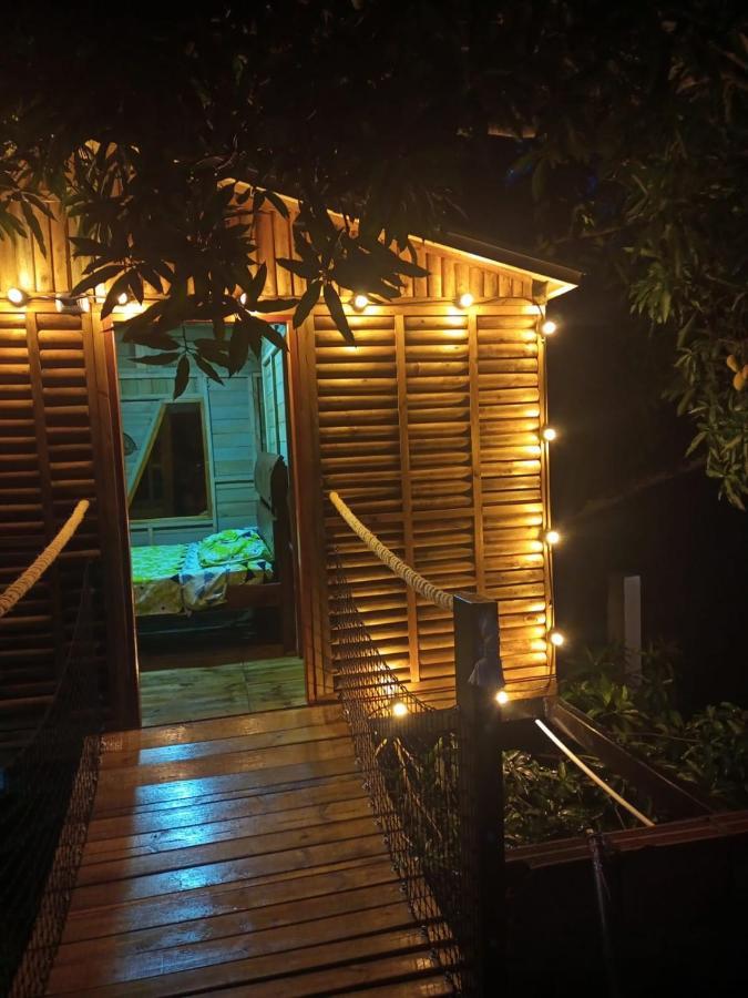 La Casita Del Arbol Guaduas Cundi. Hotell Exteriör bild