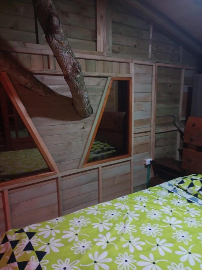 La Casita Del Arbol Guaduas Cundi. Hotell Exteriör bild
