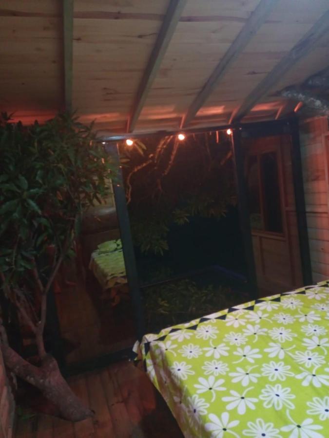 La Casita Del Arbol Guaduas Cundi. Hotell Exteriör bild