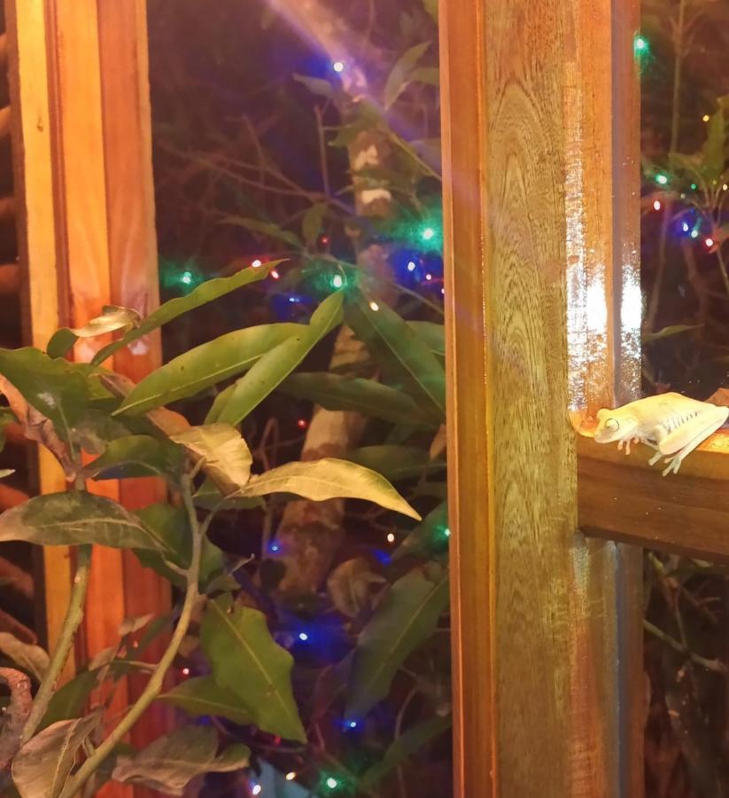 La Casita Del Arbol Guaduas Cundi. Hotell Exteriör bild